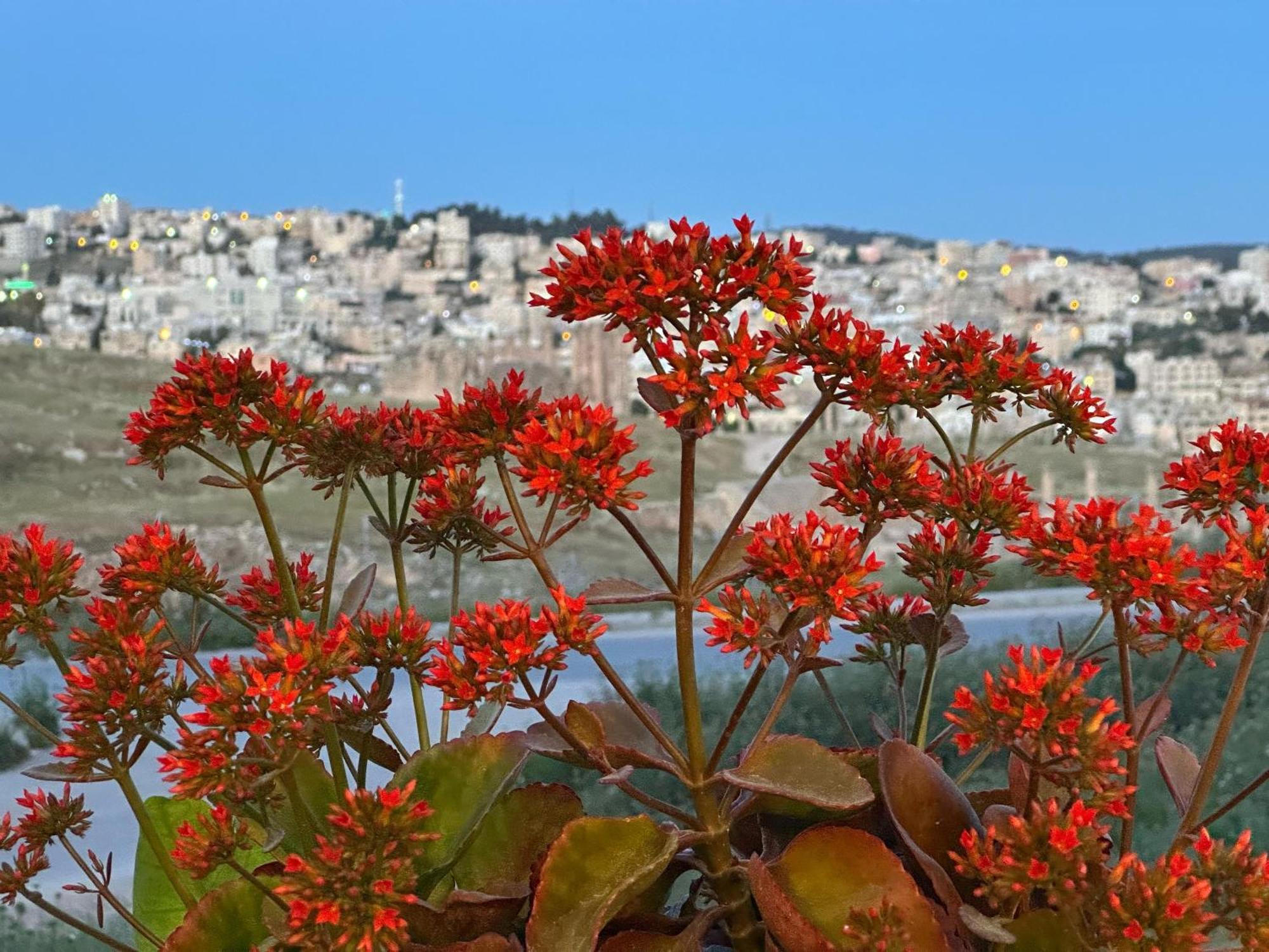 Jerash City View Džaraš Exteriér fotografie