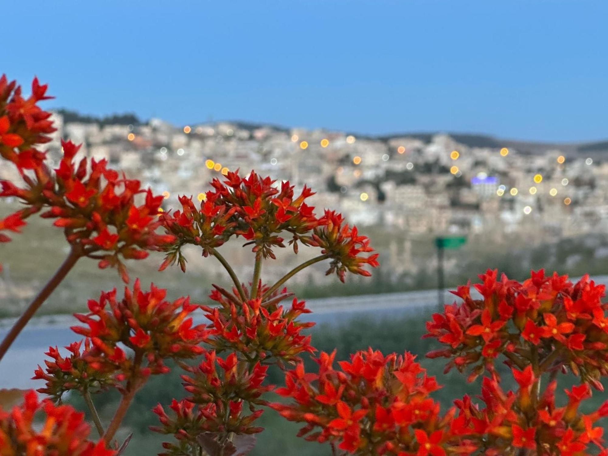 Jerash City View Džaraš Exteriér fotografie